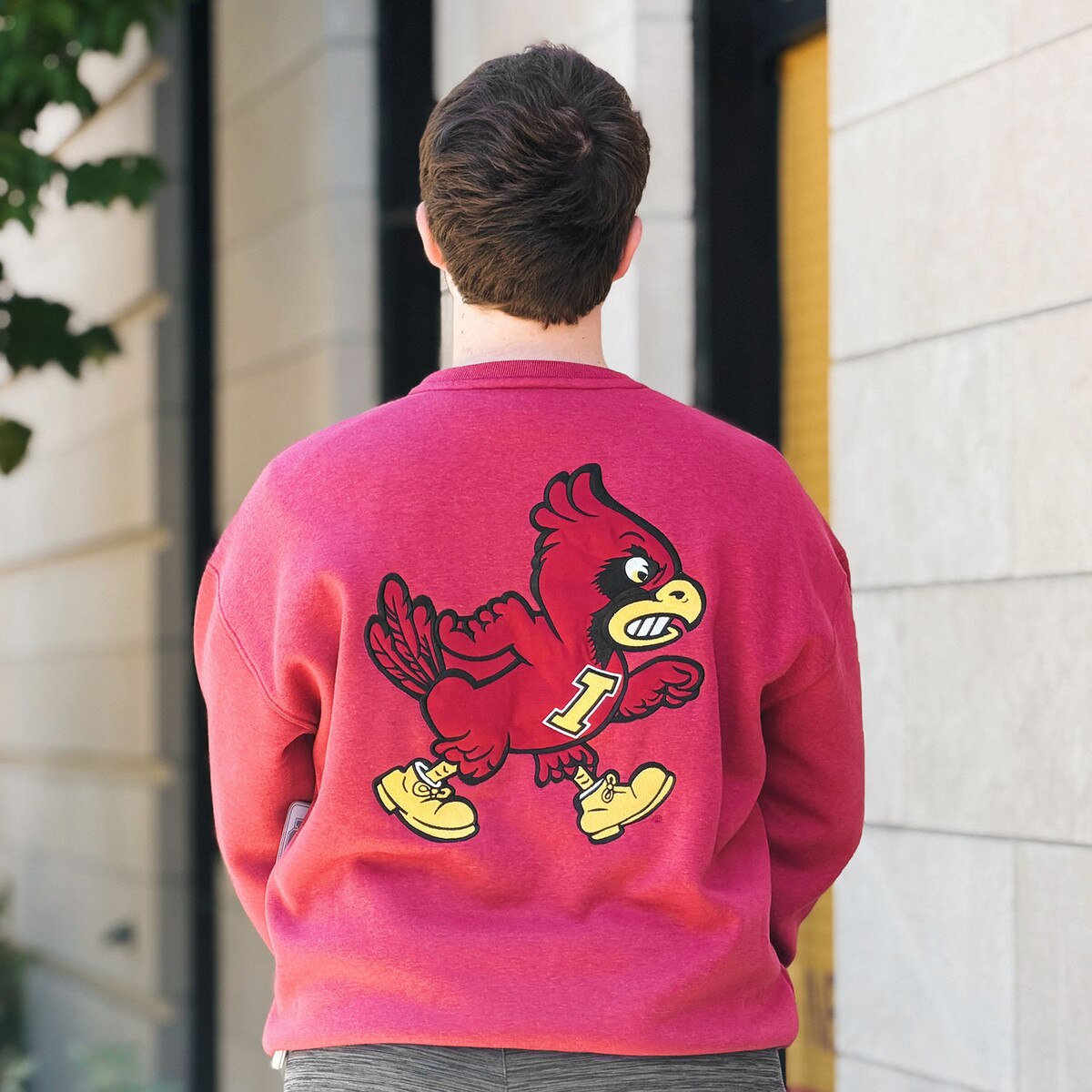 Colosseum Walking Cy Cardinal Rich Vintage Crewneck Sweatshirt back